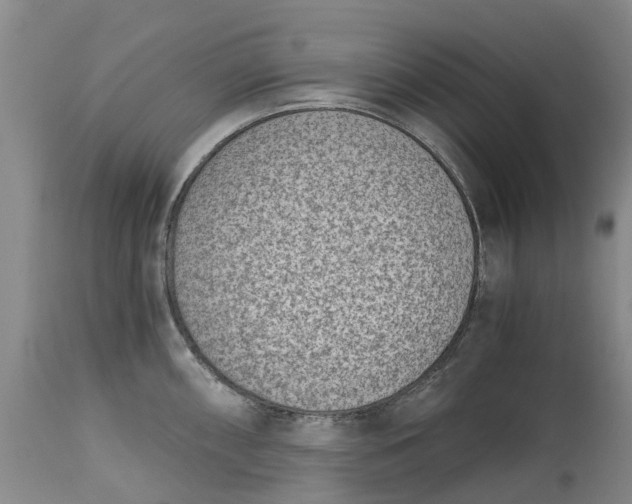 X0000115001098200911091352