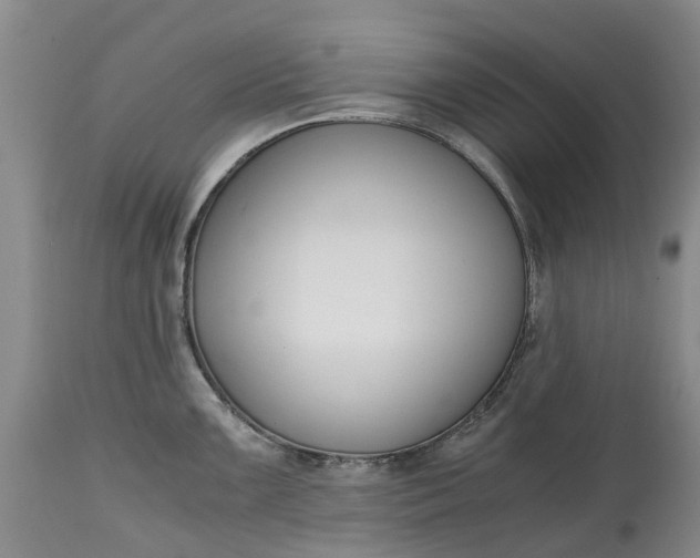 X0000115001099200911091352