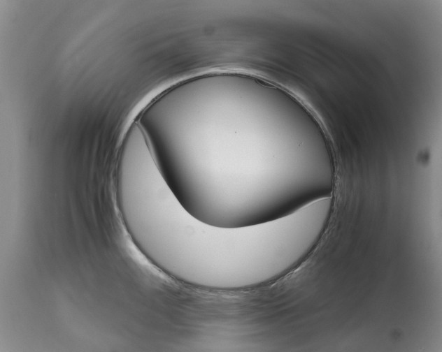X0000115001100200911091352