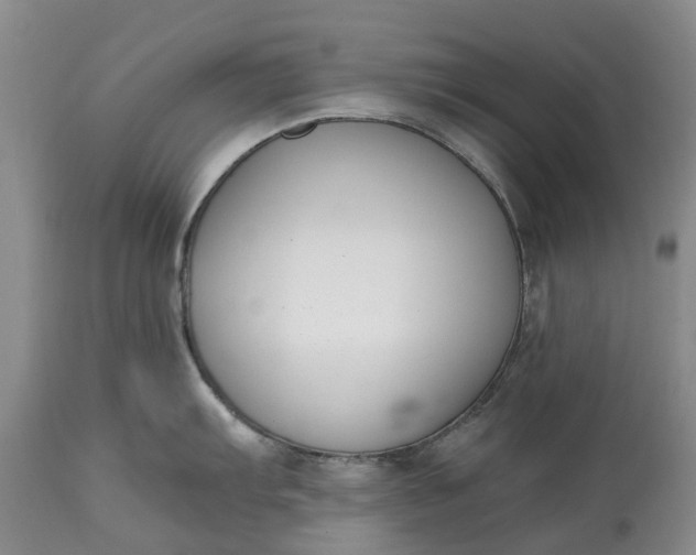 X0000115001103200911091352
