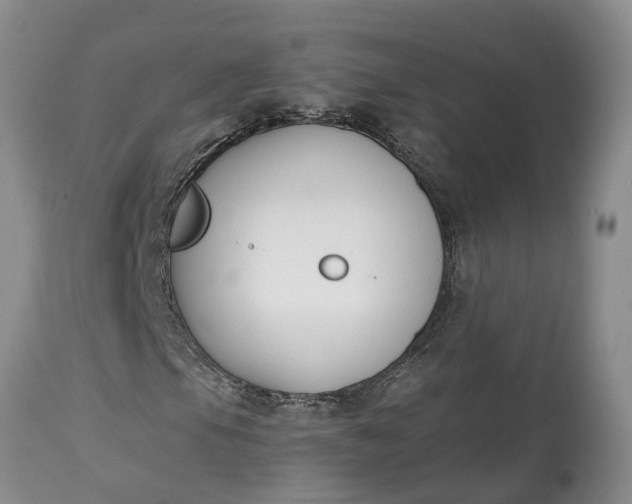 X0000115001105200911091352