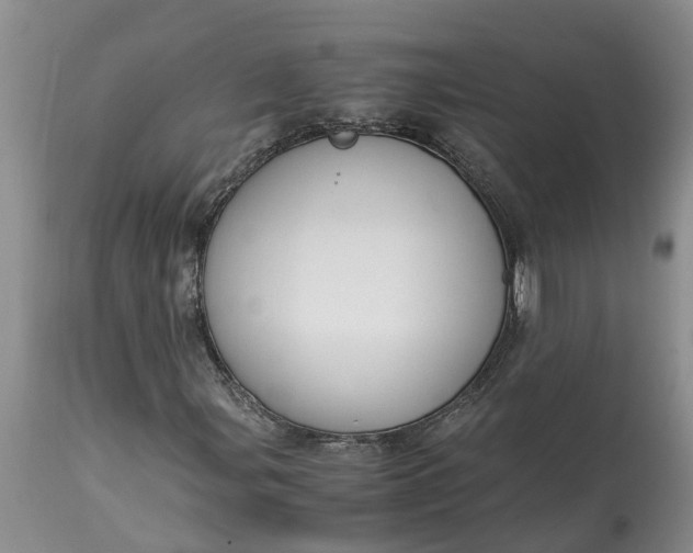X0000115001107200911091352