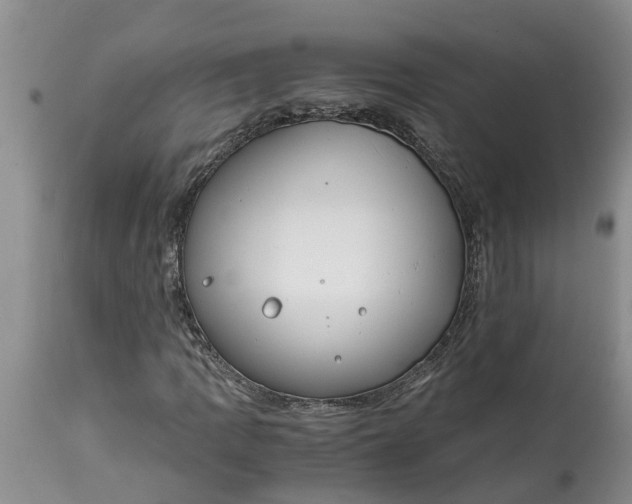 X0000115001109200911091352