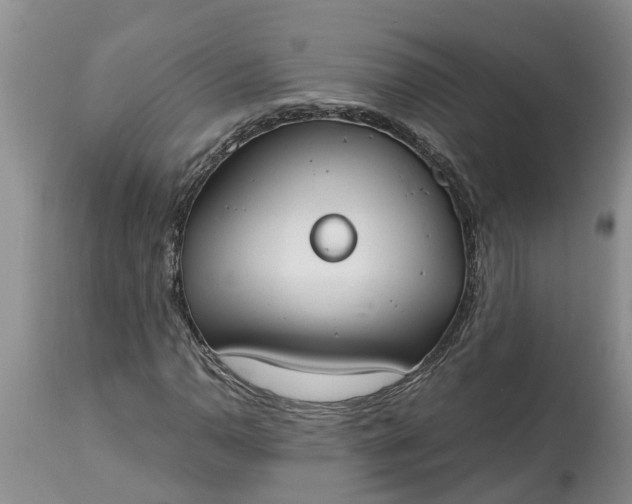 X0000115001110200911091352