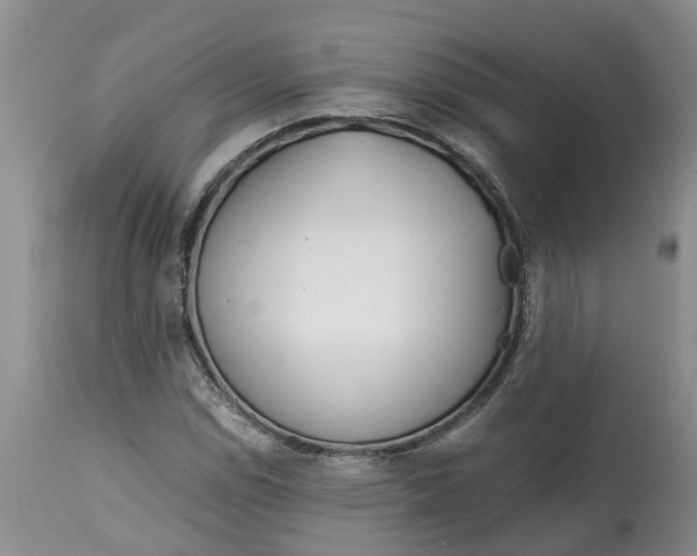 X0000115001114200911091352