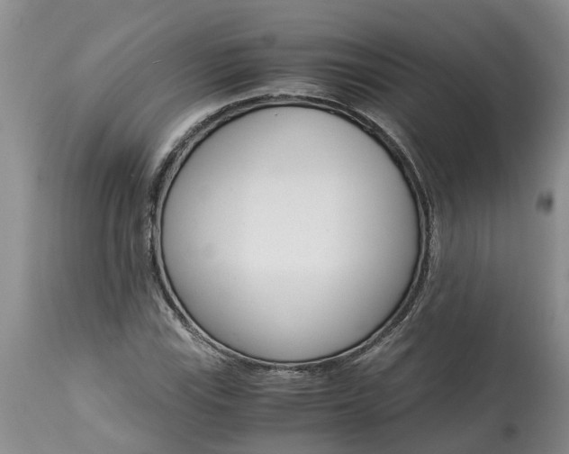 X0000115001115200911091352