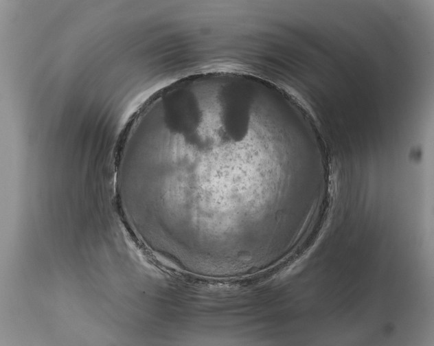 X0000115001117200911091352