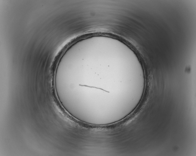 X0000115001118200911091352
