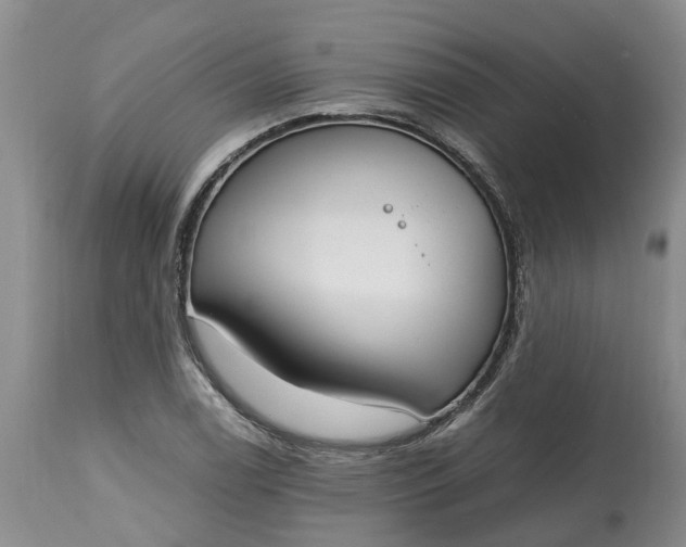 X0000115001122200911091352