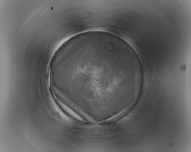X0000115001127200911091352
