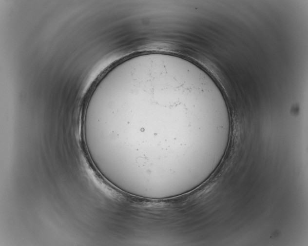 X0000115001131200911091352