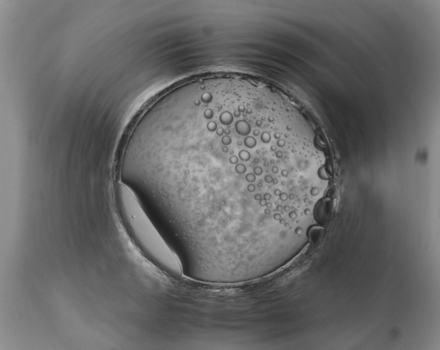 X0000115001133200911091352