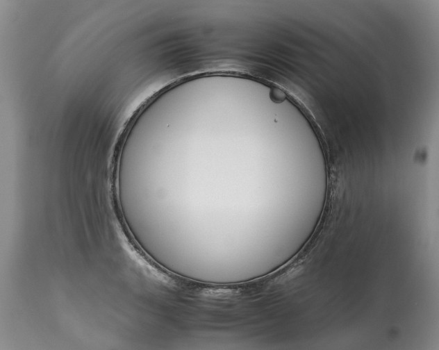 X0000115001135200911091352