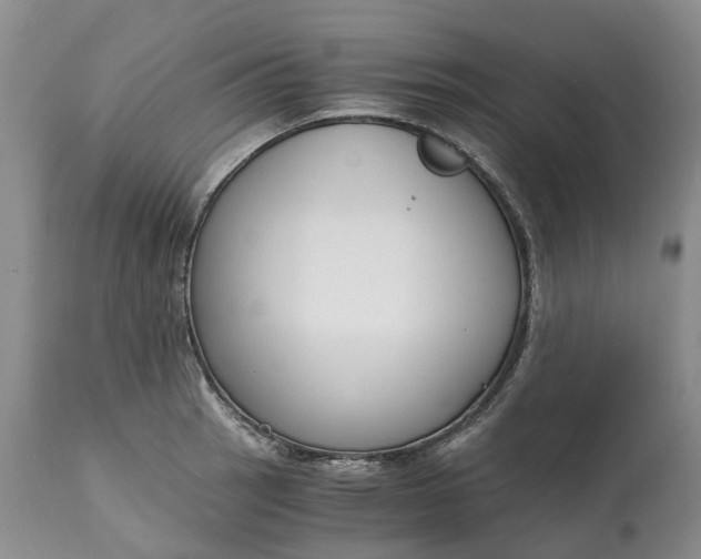 X0000115001137200911091352