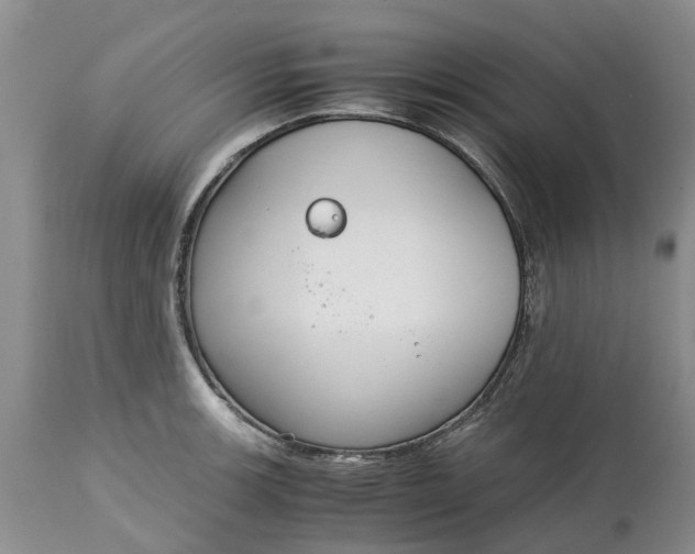 X0000115001139200911091352