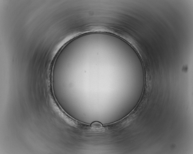 X0000115001142200911091352