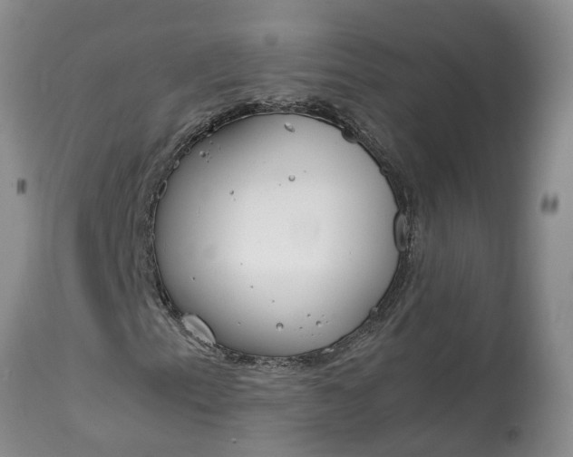 X0000115001153200911091352