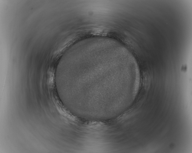 X0000115001154200911091352