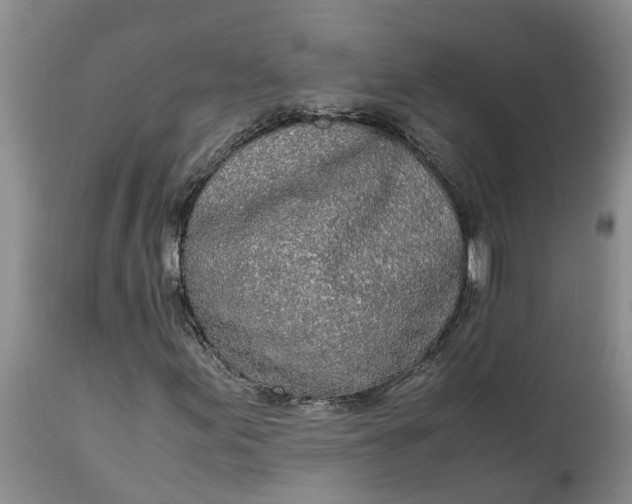 X0000115001155200911091352