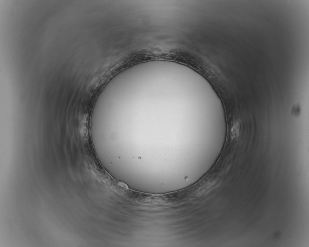X0000115001156200911091352