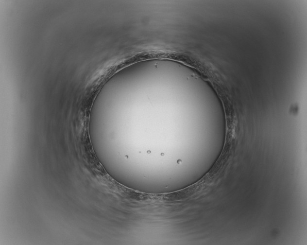 X0000115001157200911091352