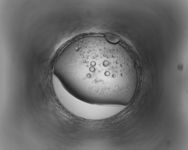 X0000115001160200911091352