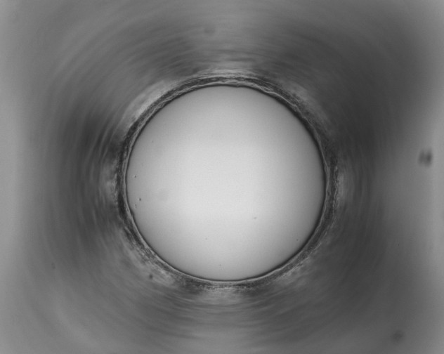X0000115001162200911091352
