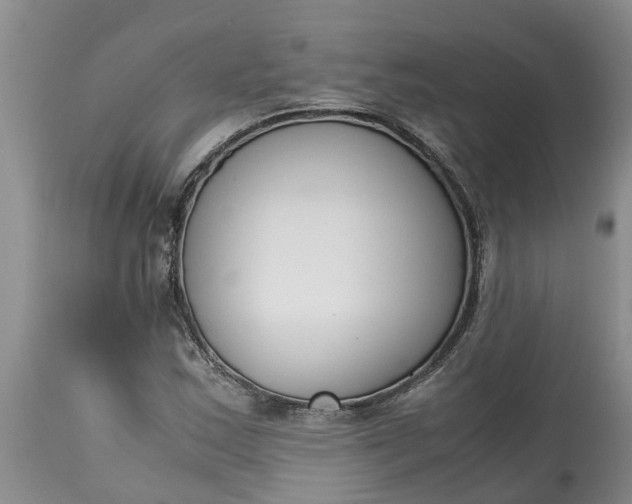 X0000115001163200911091352