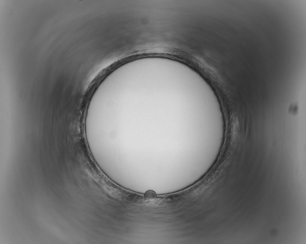X0000115001166200911091352