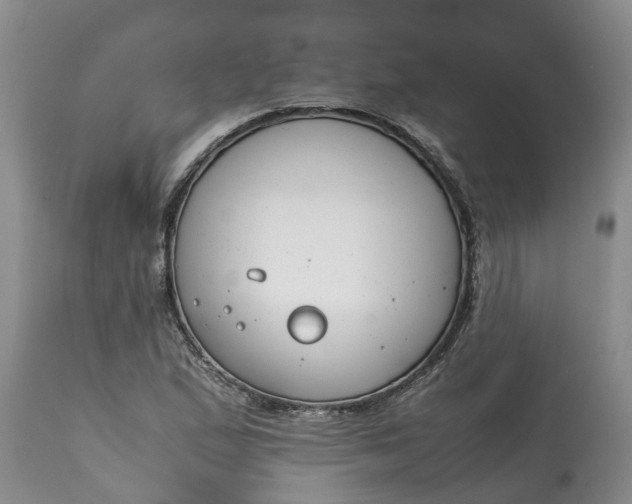 X0000115001167200911091351