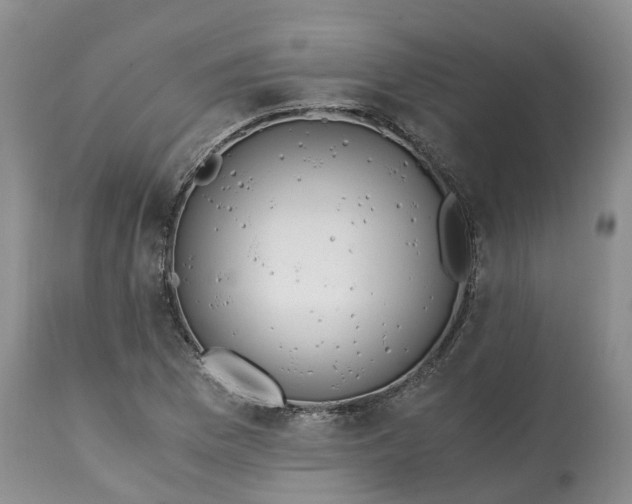 X0000115001169200911091351