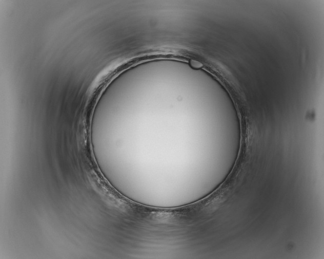 X0000115001172200911091351