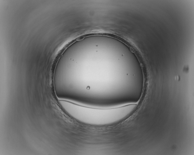 X0000115001173200911091351