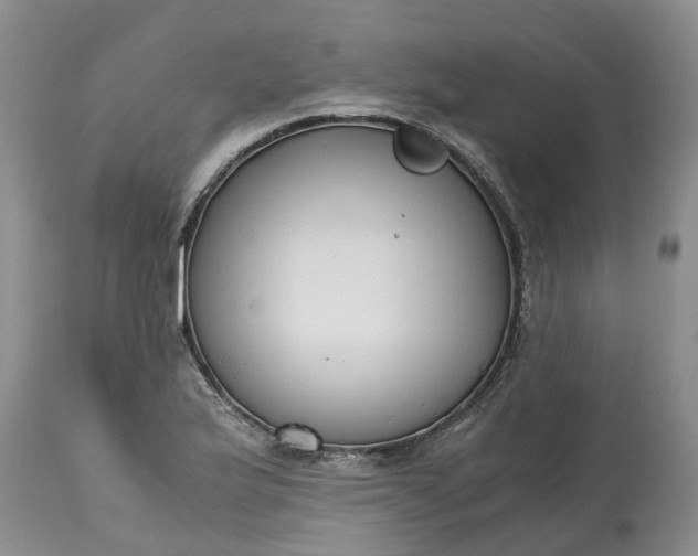 X0000115001175200911091351