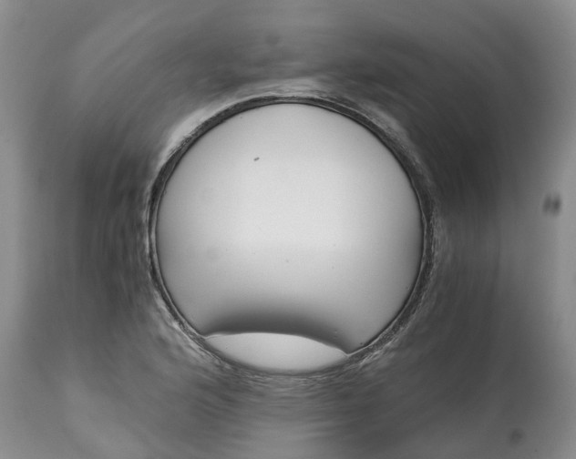 X0000115001176200911091351