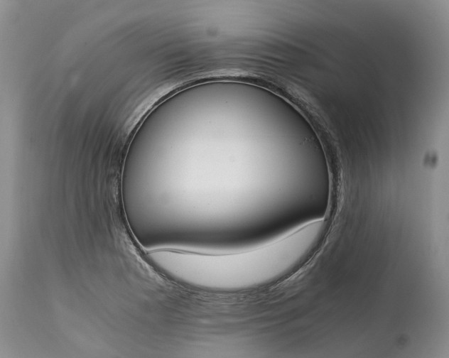 X0000115001177200911091351