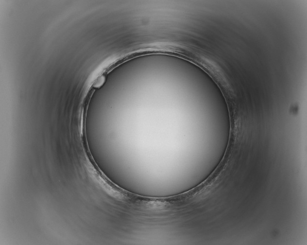 X0000115001180200911091351
