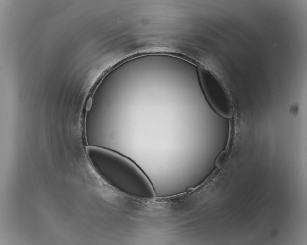 X0000115001181200911091351