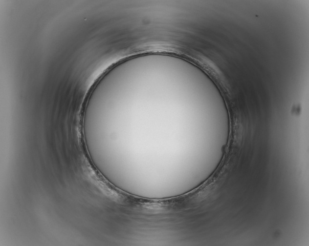 X0000115001182200911091351