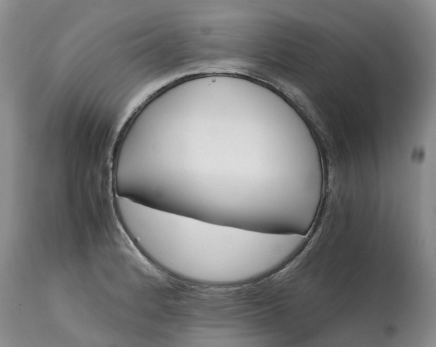 X0000115001184200911091351