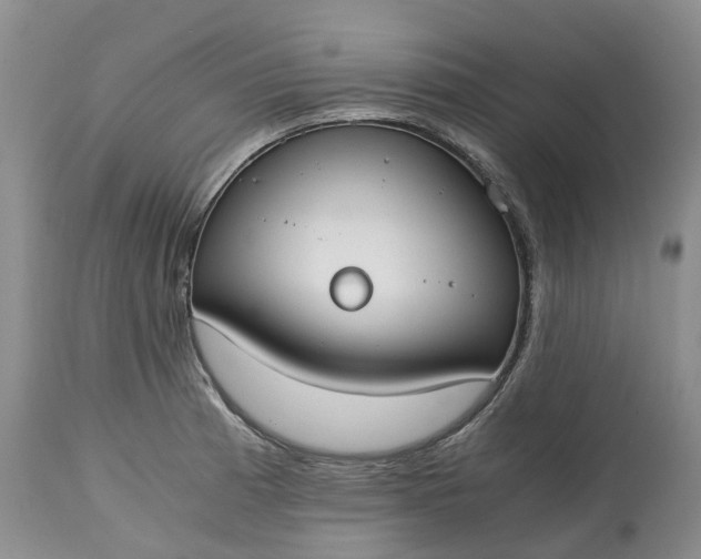 X0000115001185200911091351