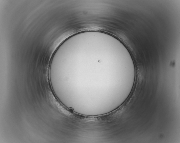 X0000115001186200911091351