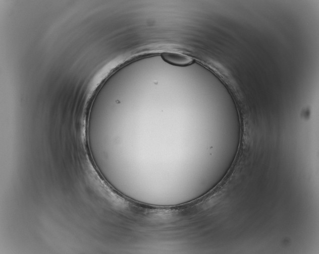 X0000115001188200911091351