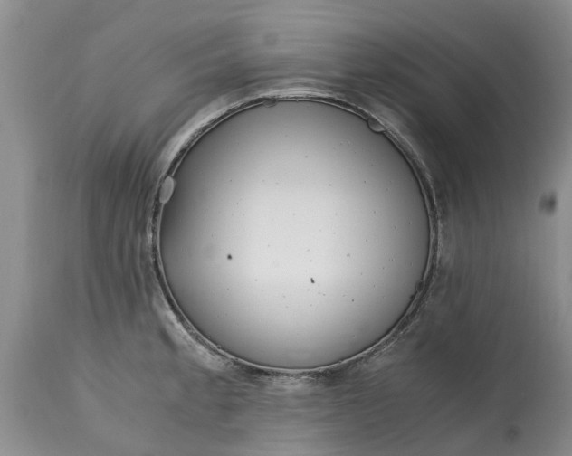X0000115001189200911091351