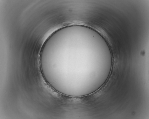X0000115001190200911091351