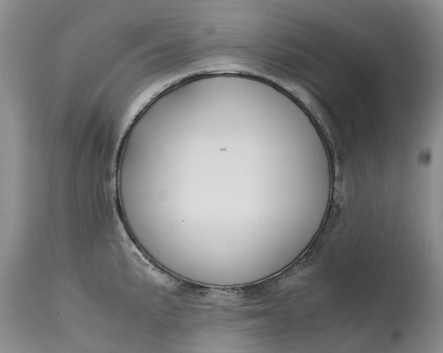 X0000115001191200911091351