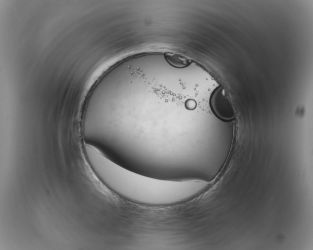 X0000115001192200911091351