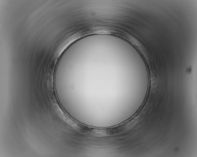 X0000115001194200911091351
