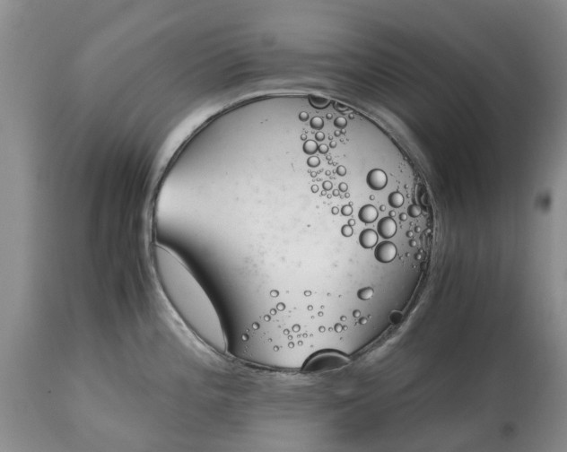 X0000115001196200911091351