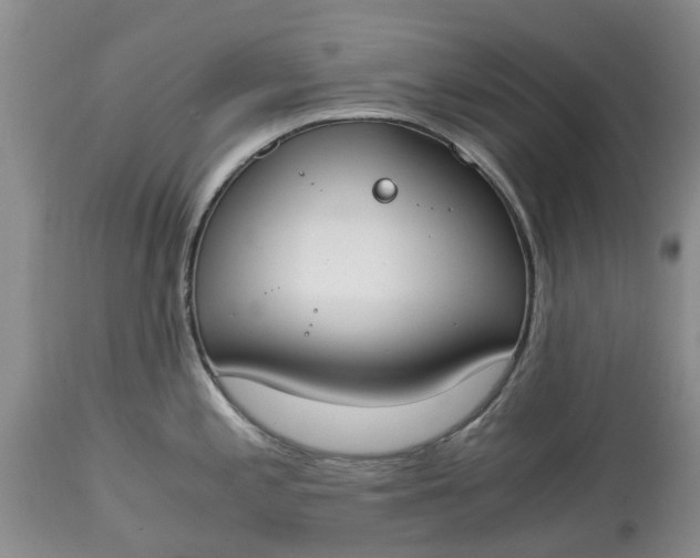 X0000115001197200911091351